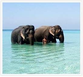 Holidays-Andaman